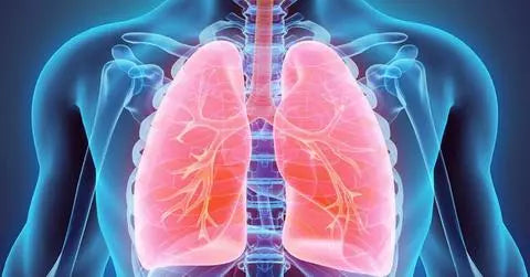 Emerging Research in Respiratory Health