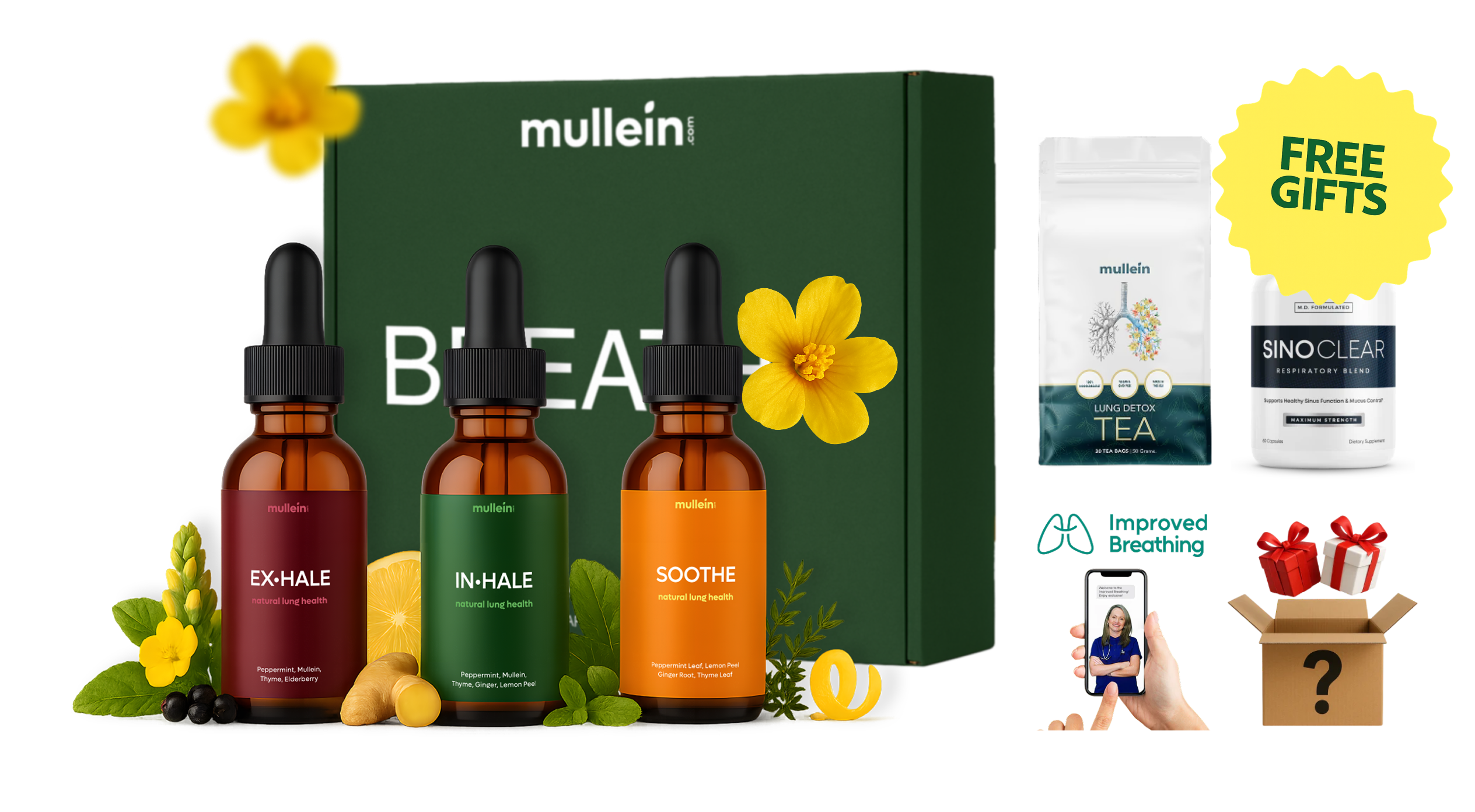 Mullein subscription bundle with three tinctures and free tea