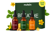 Breathe Box