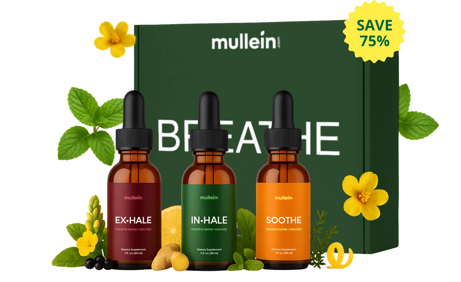 Breathe Box