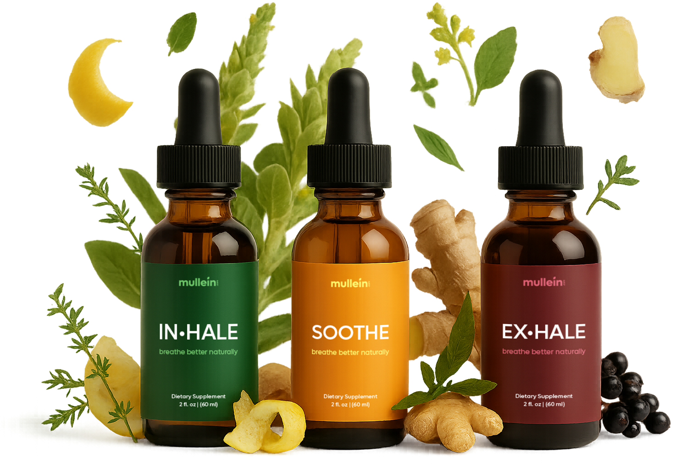 Three product bottles with natural ingredients like ginger, lemon, and berries