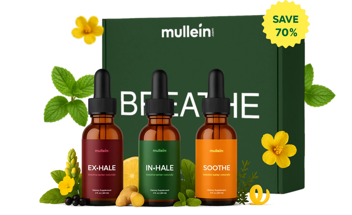 Breathe Better Bundle including three tincture bottles and a box, decorated with mint, ginger, and flowers.