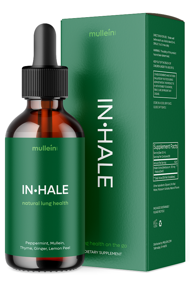 
                  
                    IN•HALE
                  
                