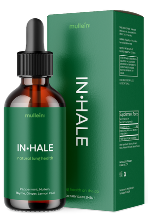 
                  
                    IN•HALE
                  
                
