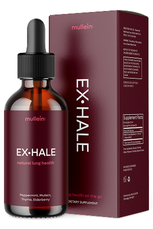 
                  
                    EX•HALE
                  
                