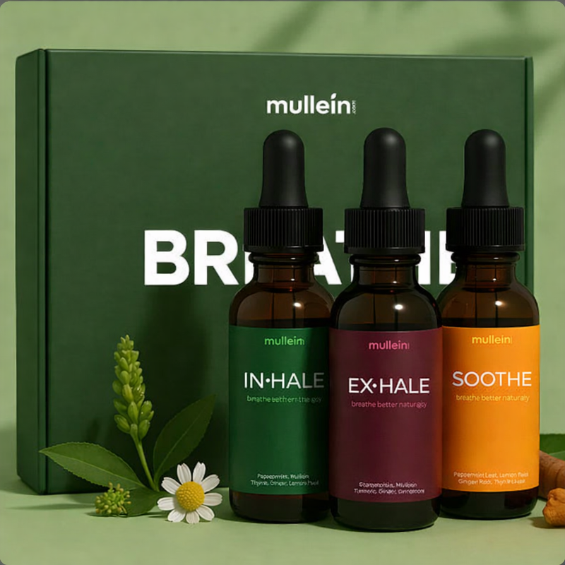 Mullein lifestyle image