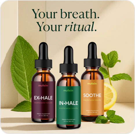 Mullein lifestyle image